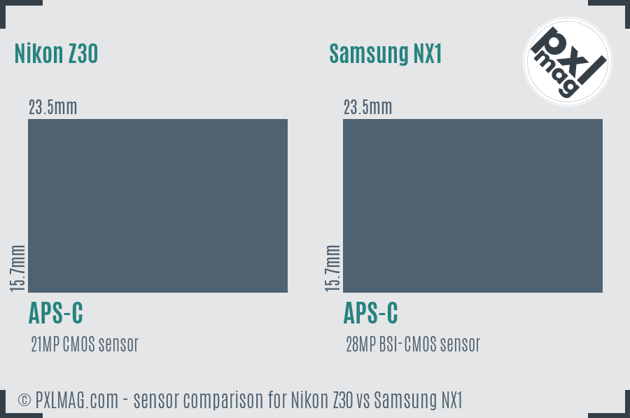 Nikon Z30 vs Samsung NX1 sensor size comparison
