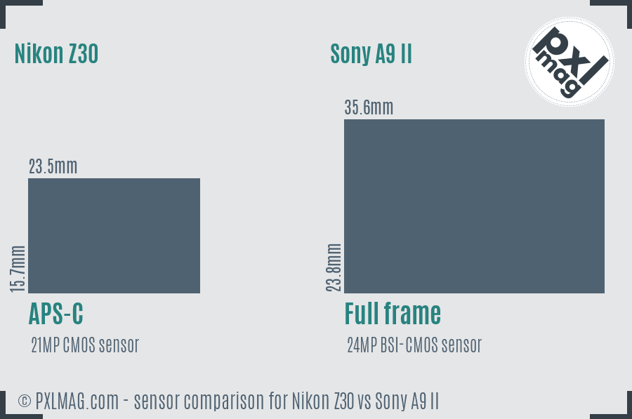 Nikon Z30 vs Sony A9 II sensor size comparison