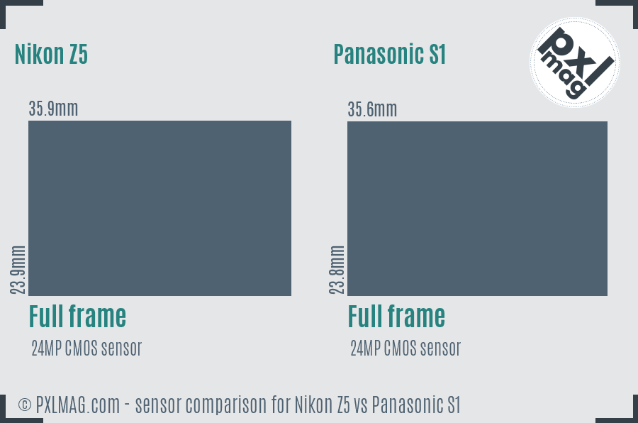 Nikon Z5 vs Panasonic S1 sensor size comparison