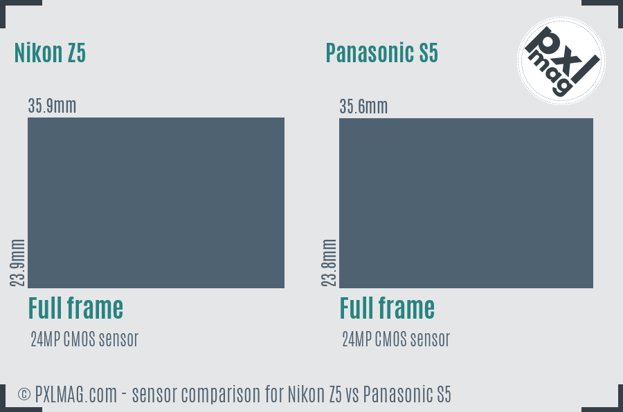 Nikon Z5 vs Panasonic S5 sensor size comparison
