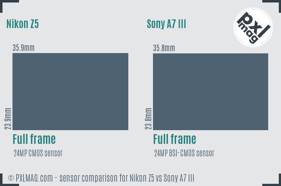 Nikon Z5 vs Sony A7 III sensor size comparison