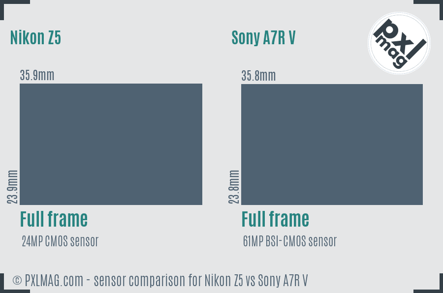 Nikon Z5 vs Sony A7R V sensor size comparison