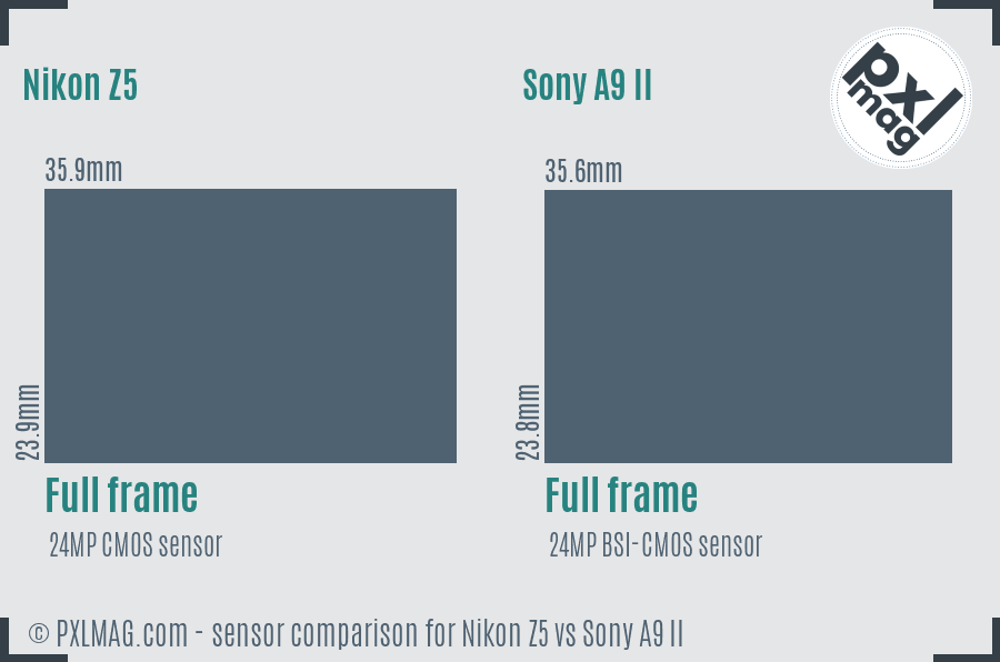 Nikon Z5 vs Sony A9 II sensor size comparison