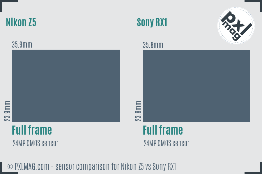 Nikon Z5 vs Sony RX1 sensor size comparison