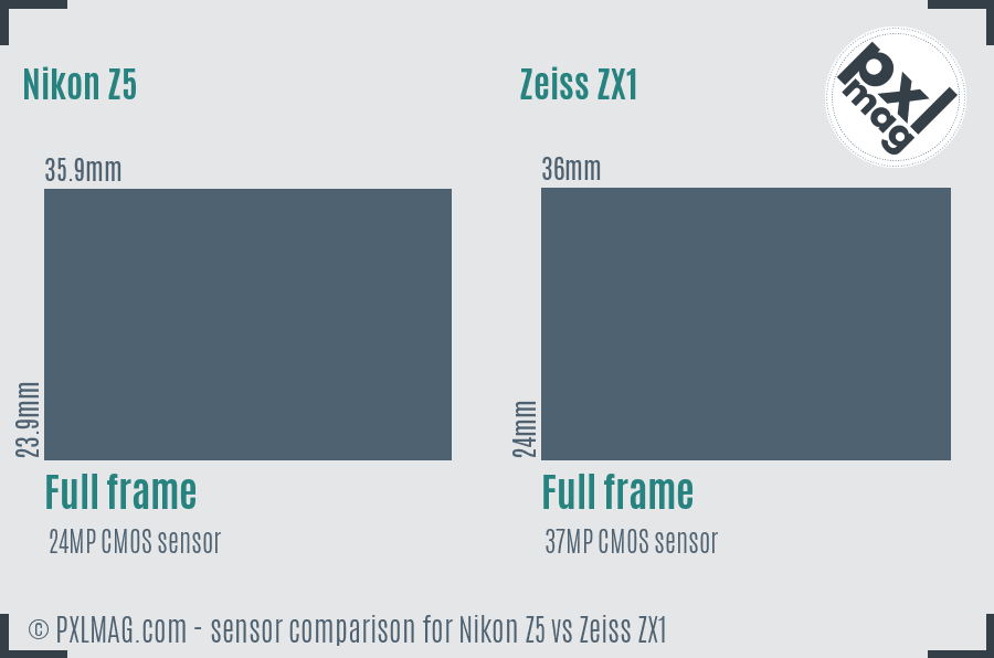 Nikon Z5 vs Zeiss ZX1 sensor size comparison