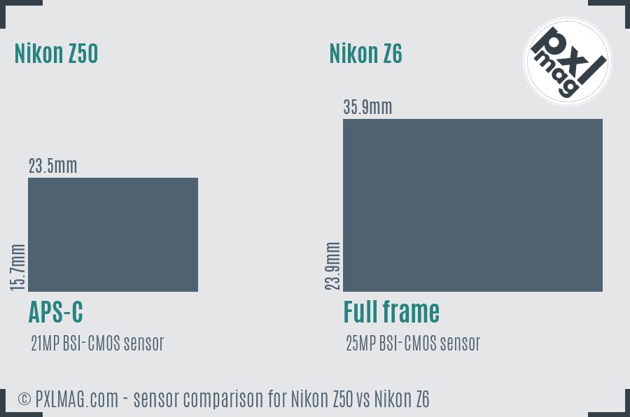 Nikon Z50 vs Nikon Z6 sensor size comparison