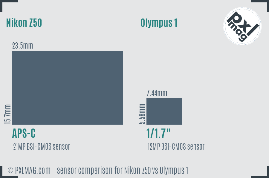 Nikon Z50 vs Olympus 1 sensor size comparison