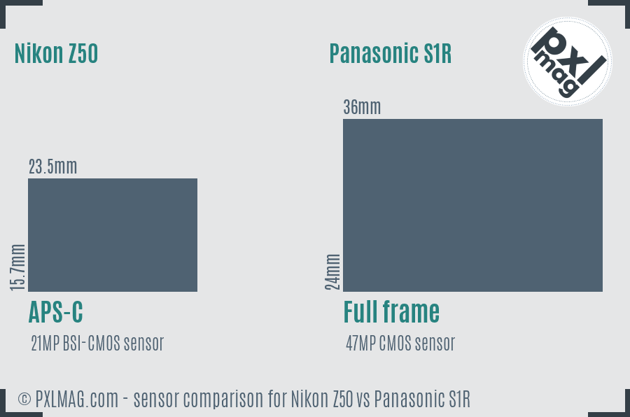 Nikon Z50 vs Panasonic S1R sensor size comparison