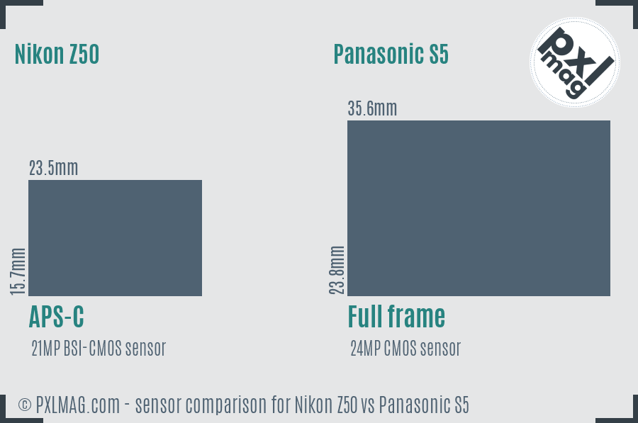 Nikon Z50 vs Panasonic S5 sensor size comparison