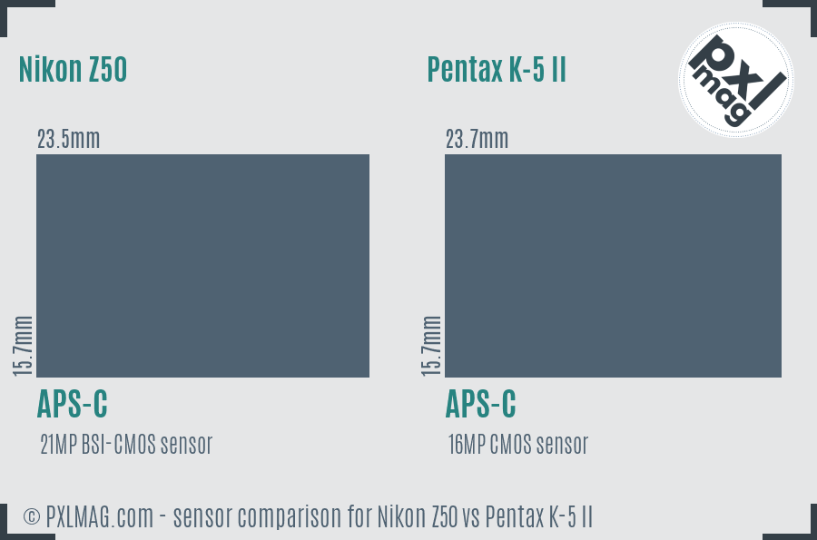 Nikon Z50 vs Pentax K-5 II sensor size comparison