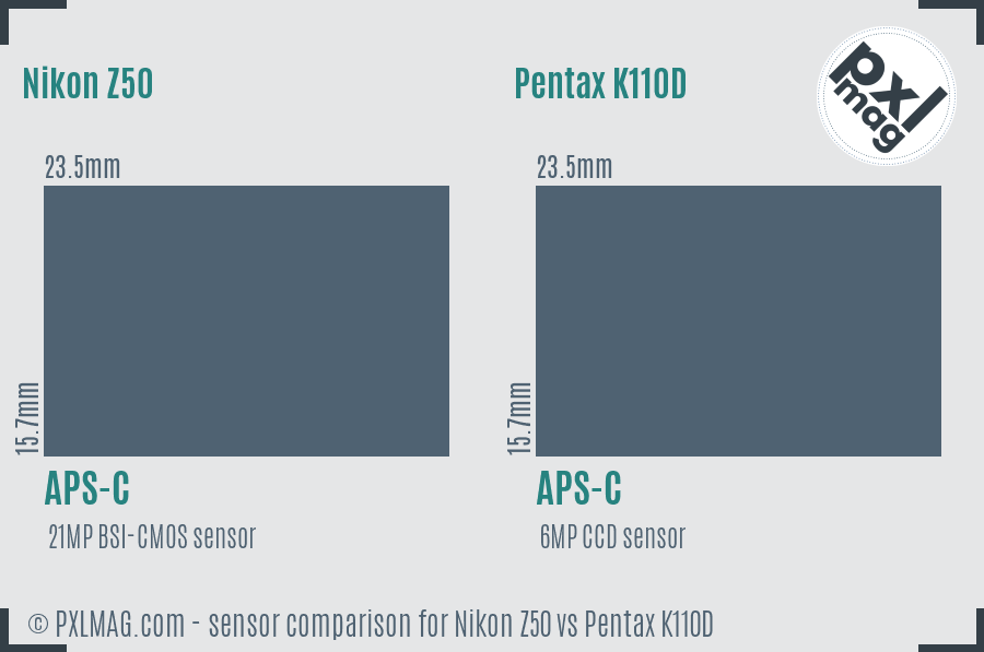 Nikon Z50 vs Pentax K110D sensor size comparison