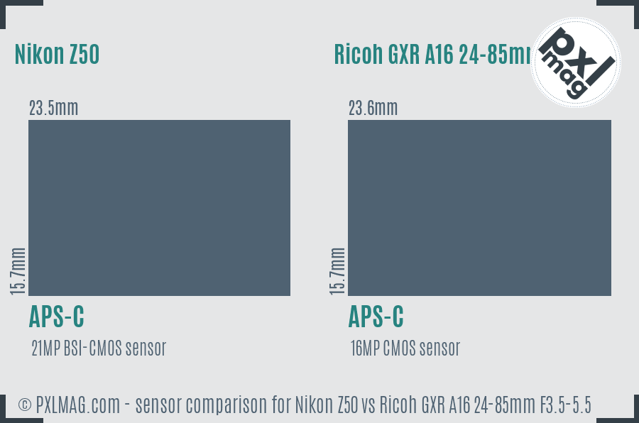 Nikon Z50 vs Ricoh GXR A16 24-85mm F3.5-5.5 sensor size comparison Nikon Z50 vs Ricoh GXR A16 24-85mm F3.5-5.5 sensor size comparison