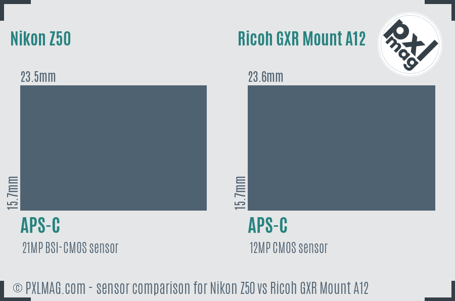 Nikon Z50 vs Ricoh GXR Mount A12 sensor size comparison
