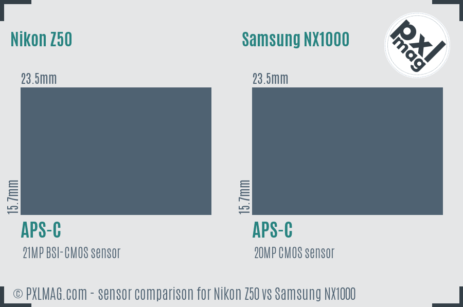 Nikon Z50 vs Samsung NX1000 sensor size comparison