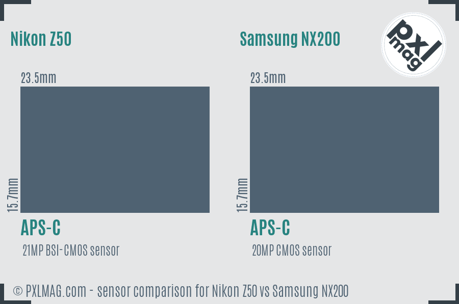 Nikon Z50 vs Samsung NX200 sensor size comparison