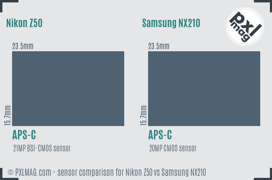 Nikon Z50 vs Samsung NX210 sensor size comparison