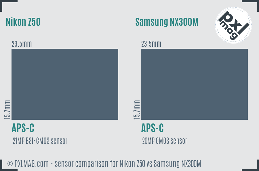 Nikon Z50 vs Samsung NX300M sensor size comparison
