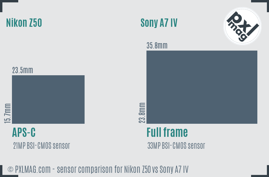 Nikon Z50 vs Sony A7 IV sensor size comparison