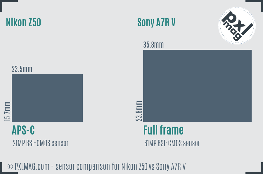 Nikon Z50 vs Sony A7R V sensor size comparison