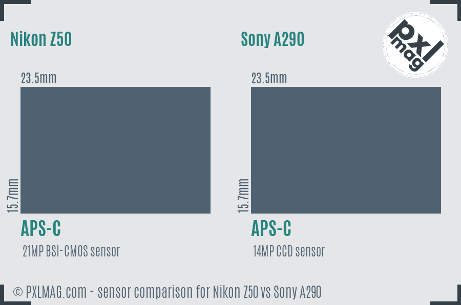 Nikon Z50 vs Sony A290 sensor size comparison
