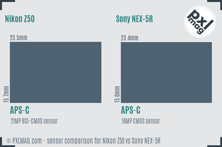 Nikon Z50 vs Sony NEX-5R sensor size comparison