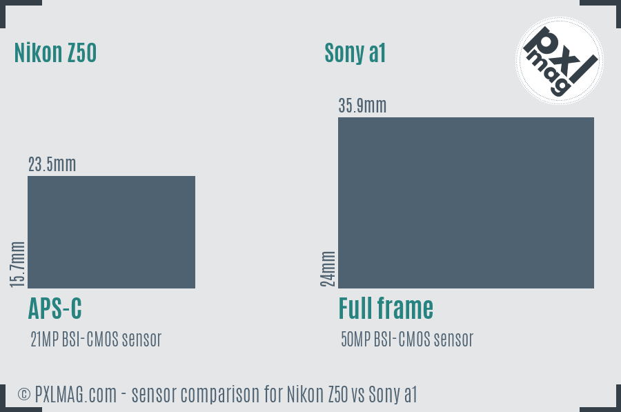 Nikon Z50 vs Sony a1 sensor size comparison