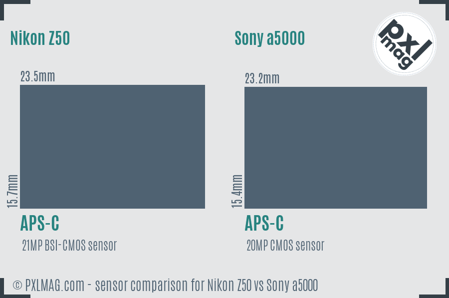 Nikon Z50 vs Sony a5000 sensor size comparison