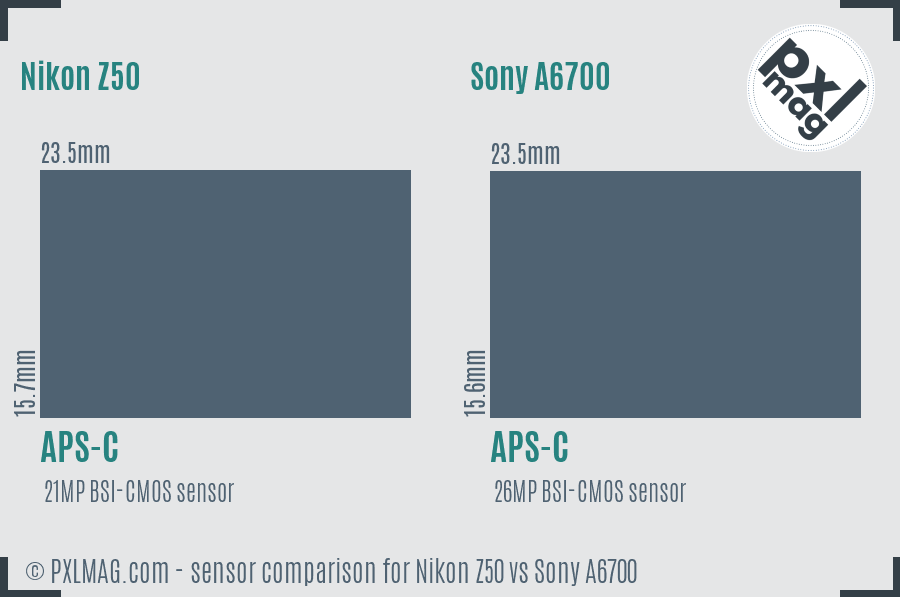 Nikon Z50 vs Sony A6700 sensor size comparison