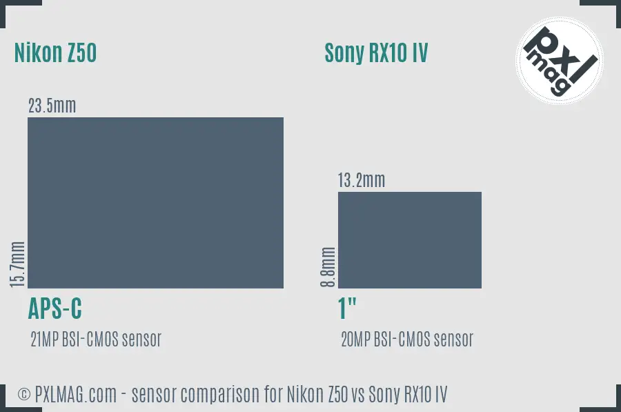 Nikon Z50 vs Sony RX10 IV sensor size comparison