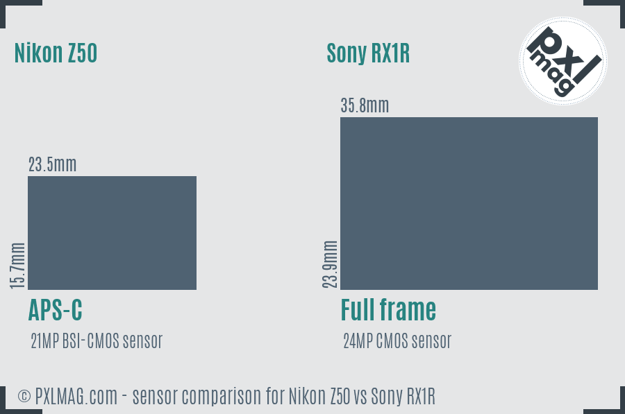 Nikon Z50 vs Sony RX1R sensor size comparison