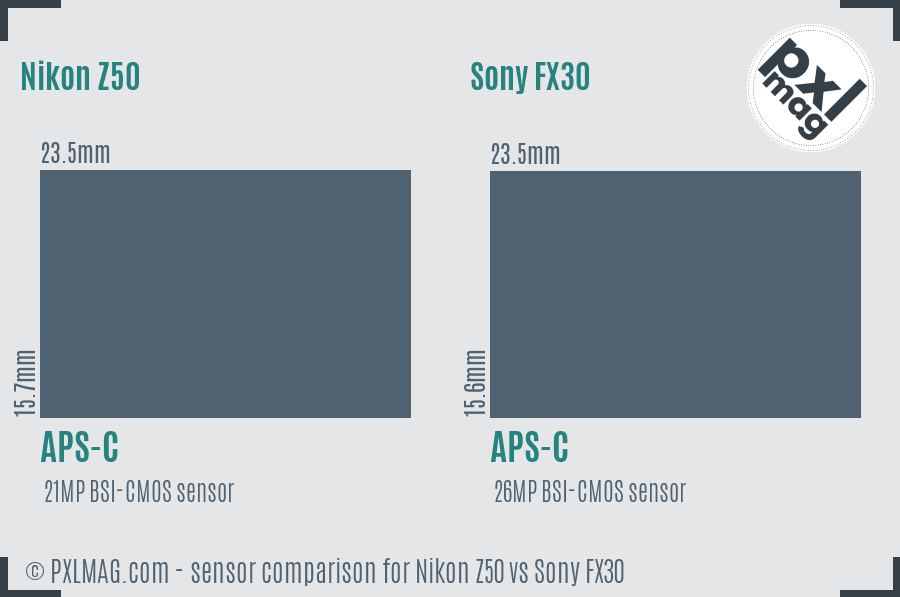 Nikon Z50 vs Sony FX30 sensor size comparison