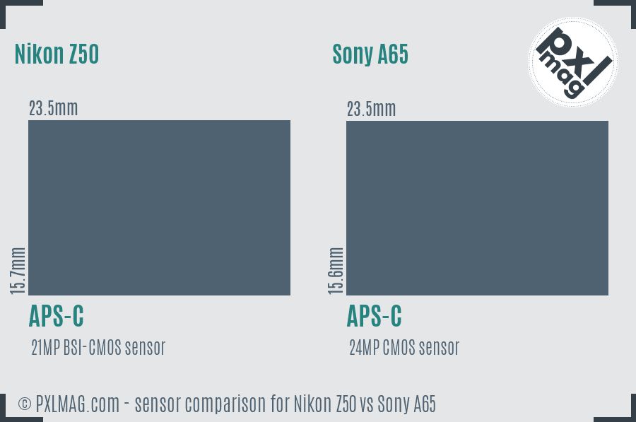 Nikon Z50 vs Sony A65 sensor size comparison