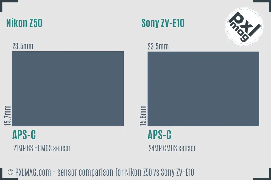 Nikon Z50 vs Sony ZV-E10 sensor size comparison