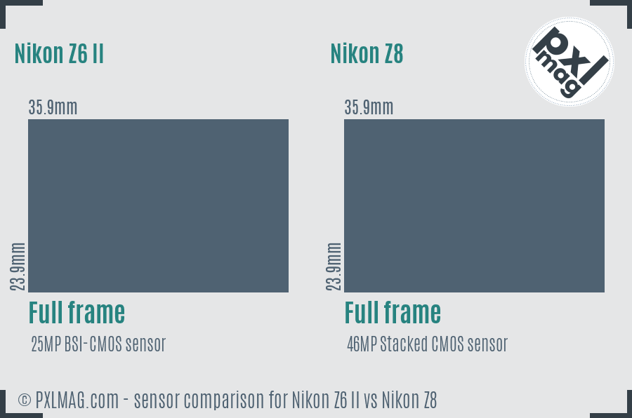 Nikon Z6 II vs Nikon Z8 sensor size comparison