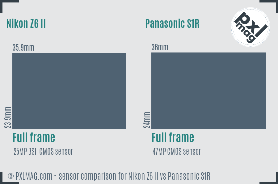 Nikon Z6 II vs Panasonic S1R sensor size comparison