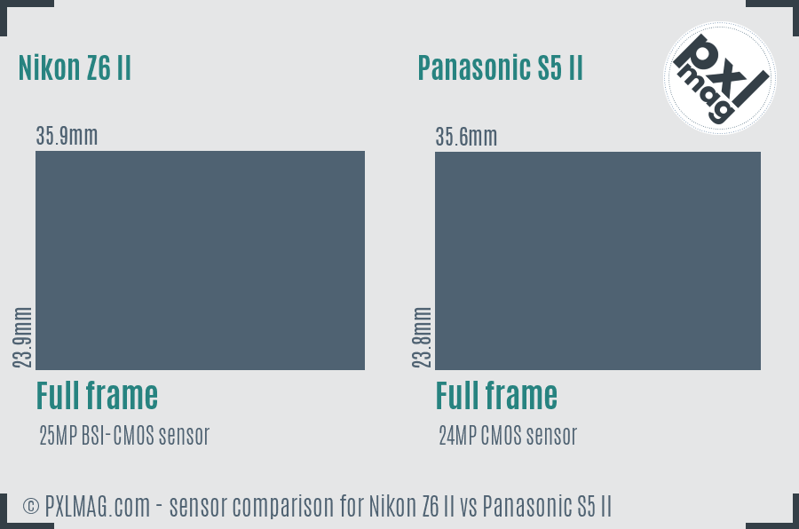 Nikon Z6 II vs Panasonic S5 II sensor size comparison