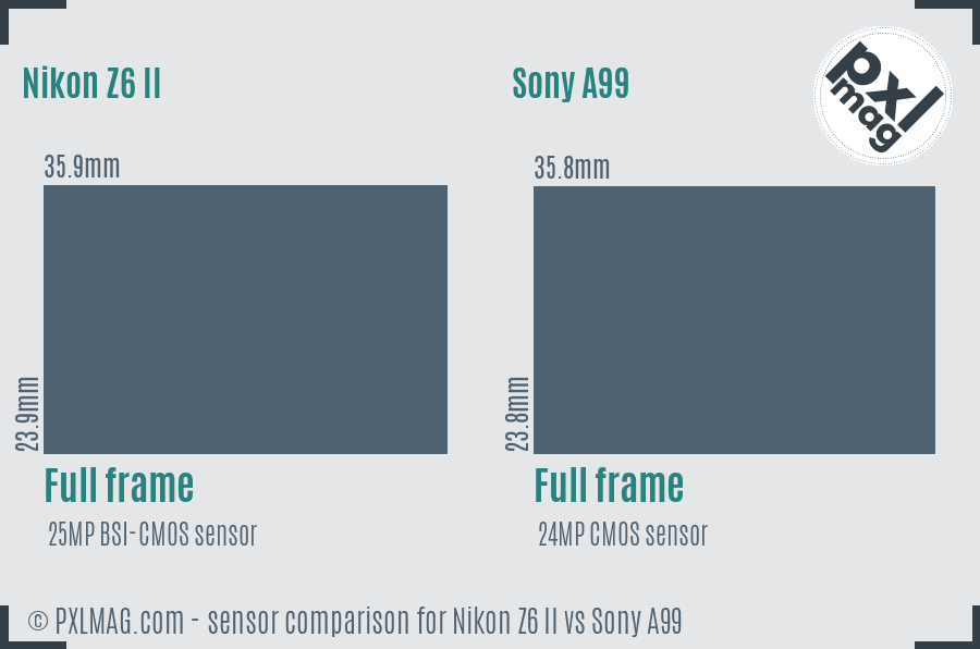 Nikon Z6 II vs Sony A99 sensor size comparison