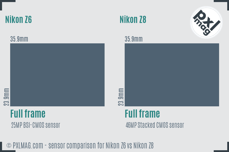 Nikon Z6 vs Nikon Z8 sensor size comparison