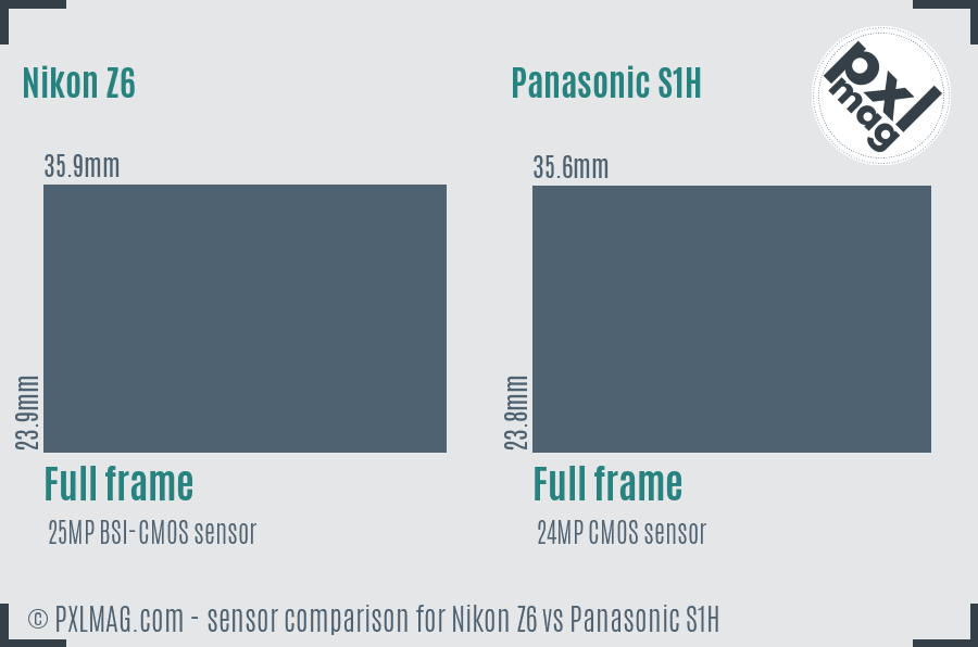 Nikon Z6 vs Panasonic S1H sensor size comparison