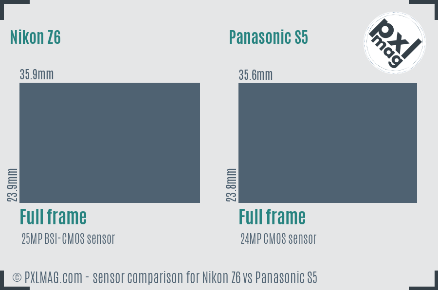 Nikon Z6 vs Panasonic S5 sensor size comparison