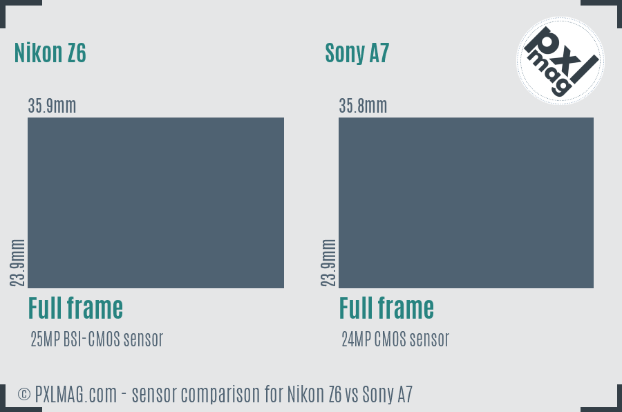 Nikon Z6 vs Sony A7 sensor size comparison