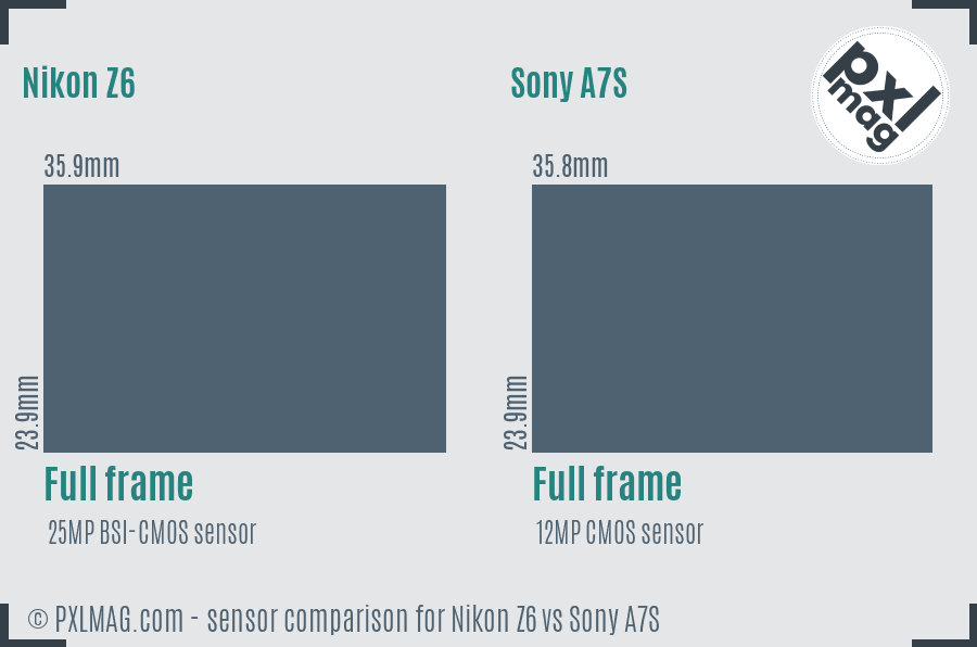 Nikon Z6 vs Sony A7S sensor size comparison