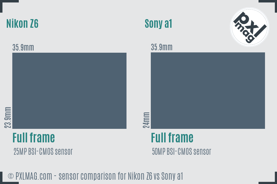 Nikon Z6 vs Sony a1 sensor size comparison