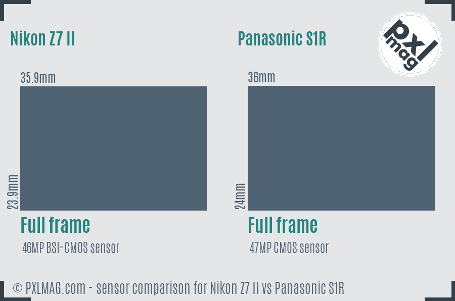 Nikon Z7 II vs Panasonic S1R sensor size comparison