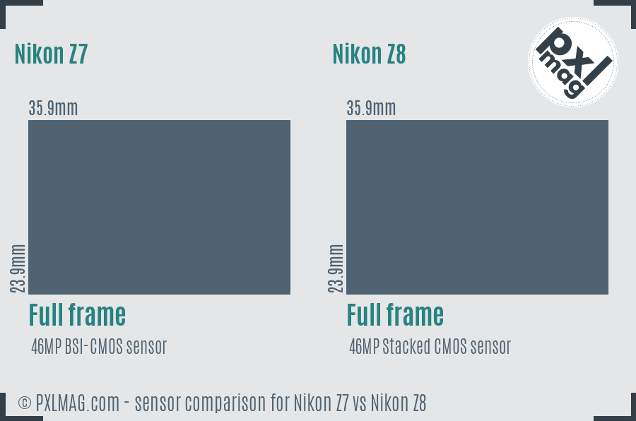 Nikon Z7 vs Nikon Z8 sensor size comparison