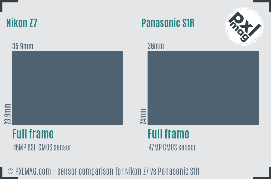 Nikon Z7 vs Panasonic S1R sensor size comparison
