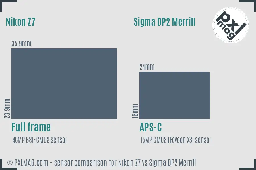 Nikon Z7 vs Sigma DP2 Merrill sensor size comparison