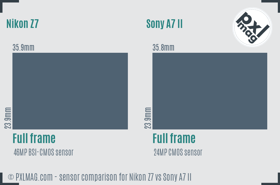 Nikon Z7 vs Sony A7 II sensor size comparison