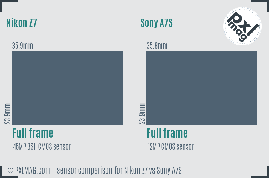 Nikon Z7 vs Sony A7S sensor size comparison