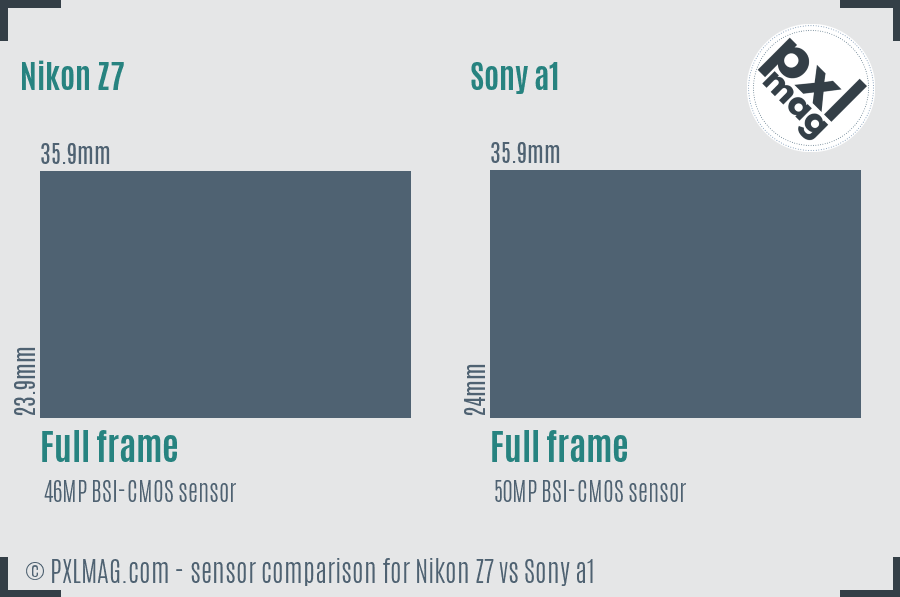 Nikon Z7 vs Sony a1 sensor size comparison